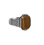 Anillo Ojo de Tigre en Acero Inoxidable – Litoterapia